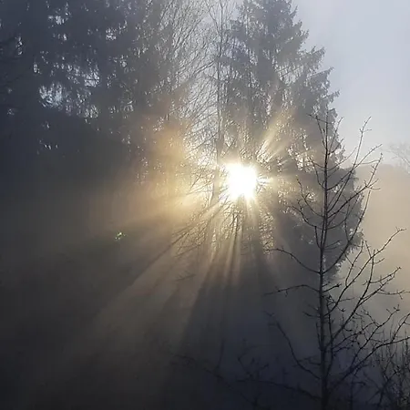 Apartament Mit Eigenem Garten In Traumhafter Lage *