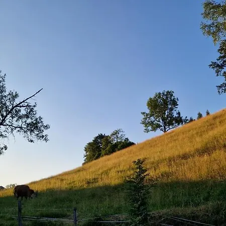 Apartament Mit Eigenem Garten In Traumhafter Lage Grubach