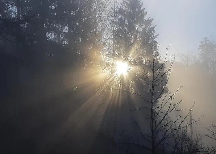 Lejlighed Mit Eigenem Garten In Traumhafter Lage *