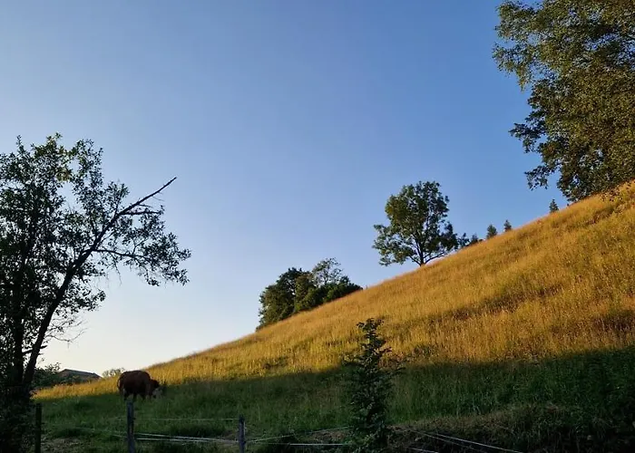Lejlighed Mit Eigenem Garten In Traumhafter Lage Grubach